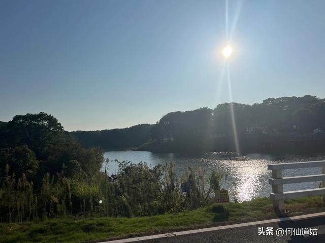 吴城狮子山观鸟