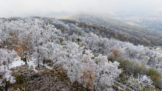 吉林初雪至，五花山换素装