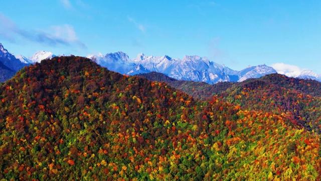 准备好迎接初冬的官鹅沟了吗？