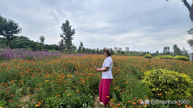 退休夫妻大连-新疆自驾游记（四）