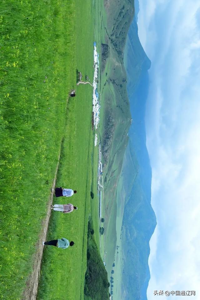 夏天，请到山地草原来