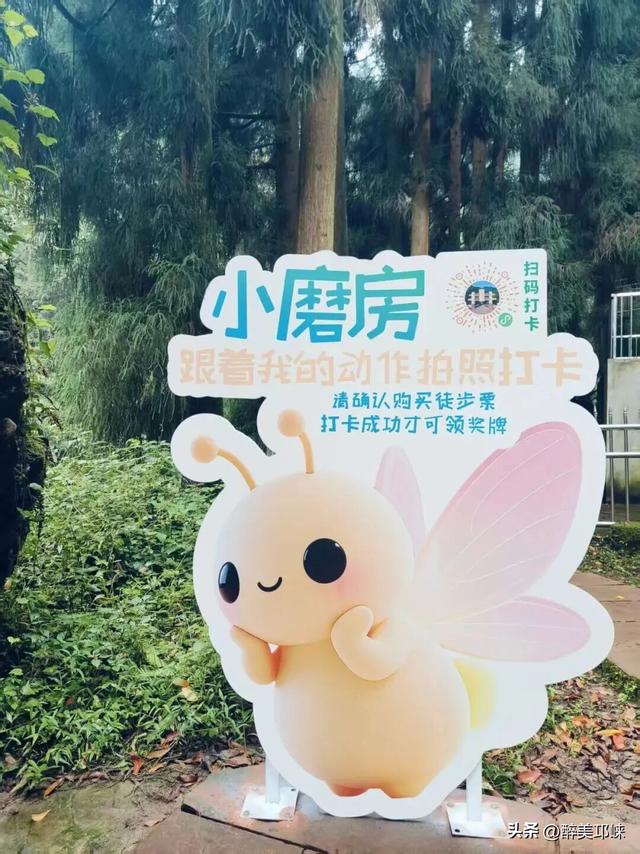 10月29日开启“乐游天台”徒步活动！奖牌不限量！速来围观！