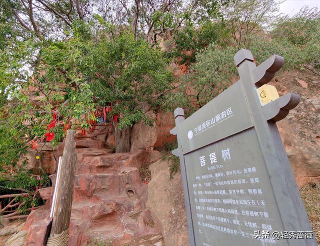 塞上江南宁夏，一个被严重低估的旅游大省