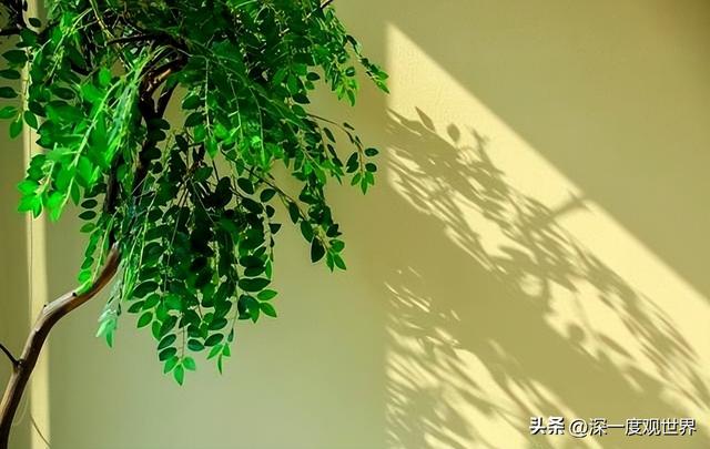 两性关系-晚年阶段异性之间有一个玄学现象有异性开始靠近你