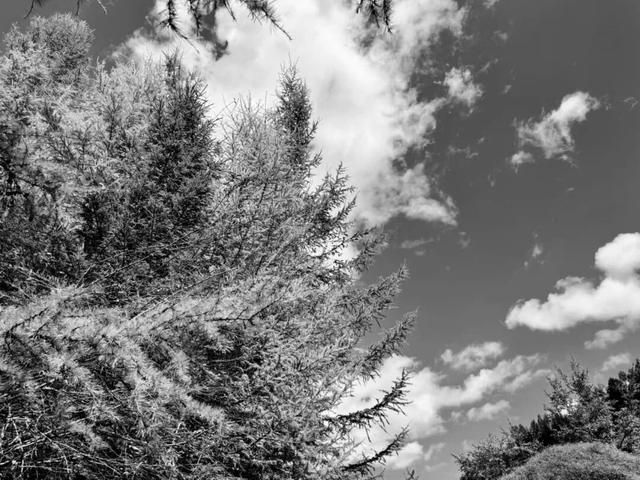 去捕捉秋的痕迹，一键点亮贵清山遮阳山景区的秋天！