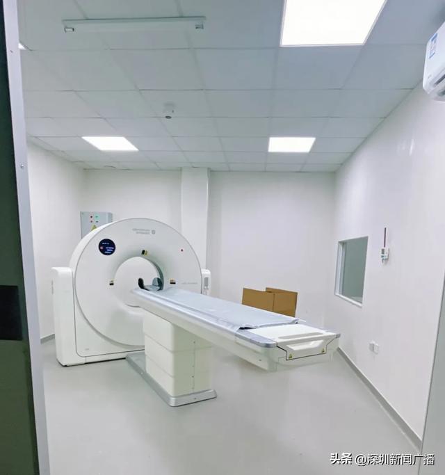 免费开放!持续21天!2025东湖公园菊花赏来啦~