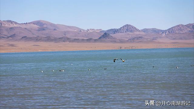 喀什经317到成都，改则-尼玛，途径大地之树、洞措湿地自然保护区