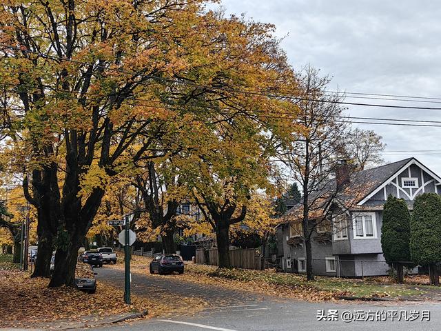 温哥华游记（五）