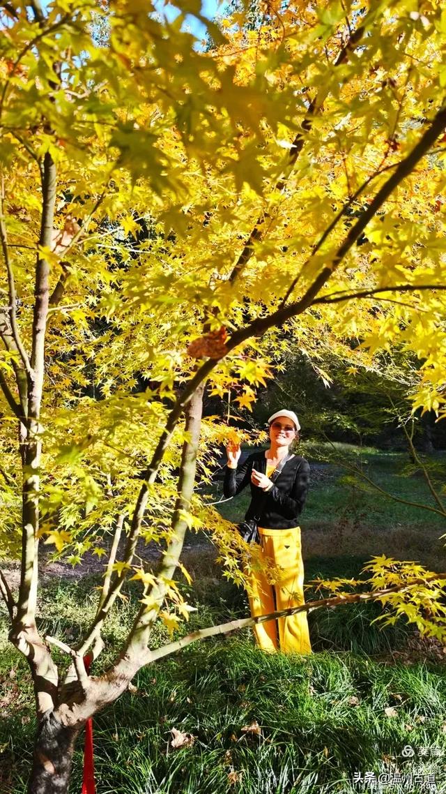 秋染浙西，邂逅烂柯仙境的绝美风光！