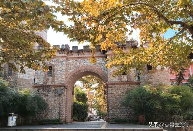 成都彭州的魔幻彩林，都不要门票！壮观、唯美、浪漫，无不惊艳！