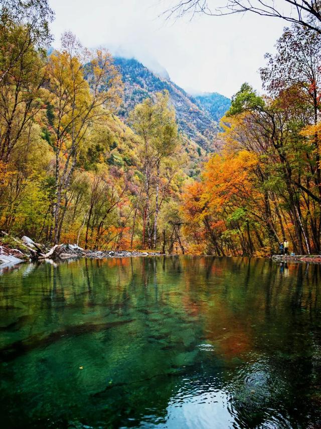 松坪沟彩林已“封神”！泡暖泉、赏非遗打铁花，这波三重盛宴错过等一年！