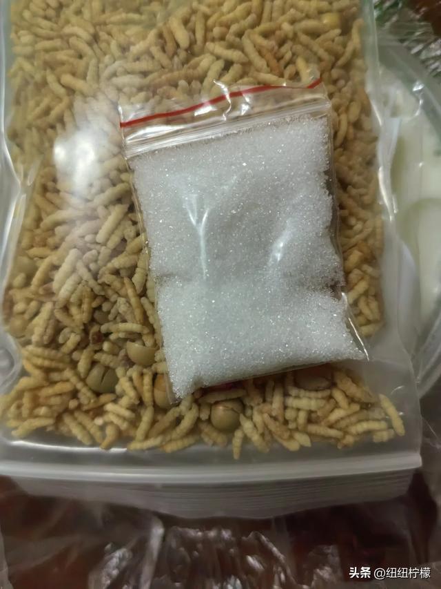 内蒙古之旅碎碎念,很开心的一次旅行,感觉鄂尔多斯被严重低估了