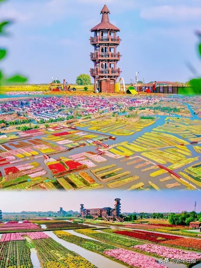 读诗词游水韵江苏丨与郑板桥重回故里，寻一幅水墨江南