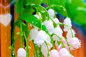 小人能力不咋样，只能暗地里搞事图片