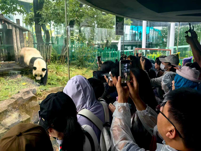 破纪录！创新高！大连文旅双节假期热力全开