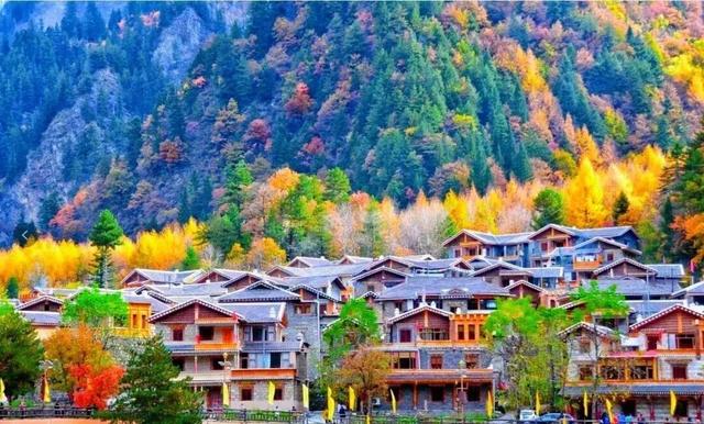 千里相约，山水相逢！黑水文旅亮相上海！这场推介太圈粉了→