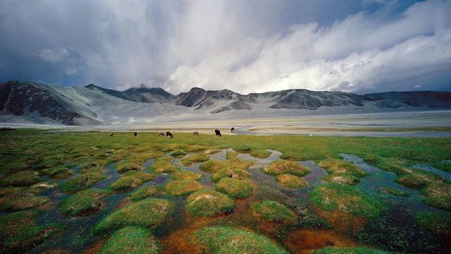 诗和远方 魅影新疆