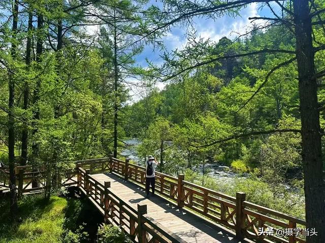 在阿尔山，邂逅一个22℃的夏天