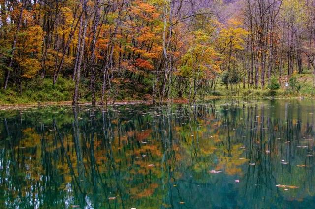 免票！成都及周边多个景区最新免费活动来啦！