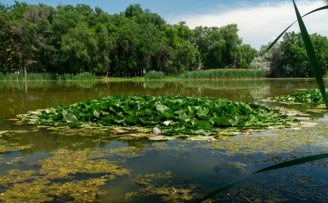 昆明最美湿地公园,坐地铁直达,适合溜娃,门票免费
