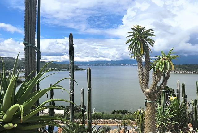 曾对旅行充满了期待，现在的我疑惑了。