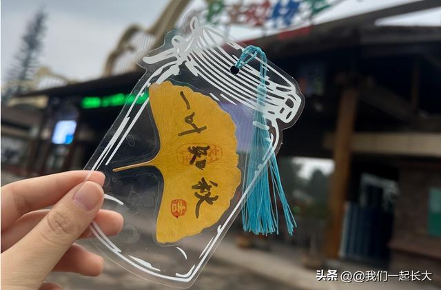 秋色如画，趣游济野，第三届金秋自驾旅游节温暖启幕