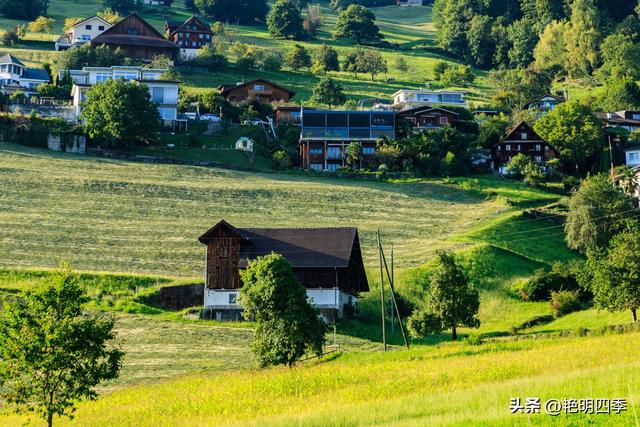欧游杂记（5）‖ 齿轮火车几上几下瑞吉山，缆车凌空飞跃韦吉斯