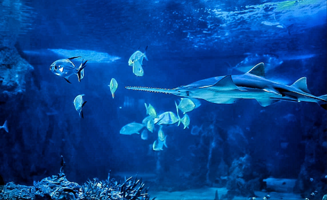 今年冬天，我想去这里过夏天