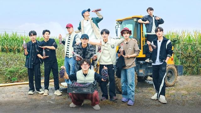 2026央视跨年晚会阵容曝光，看完路透和明星名单	，厕所都不敢上了