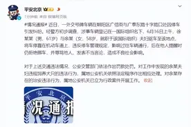 警方通报！已对使馆车依法做出处罚，不仅车违法，狗也违法图片