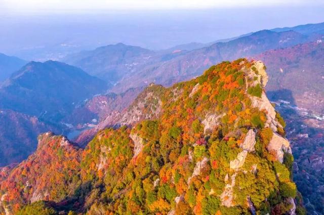 西安这两个大公园，开园了！