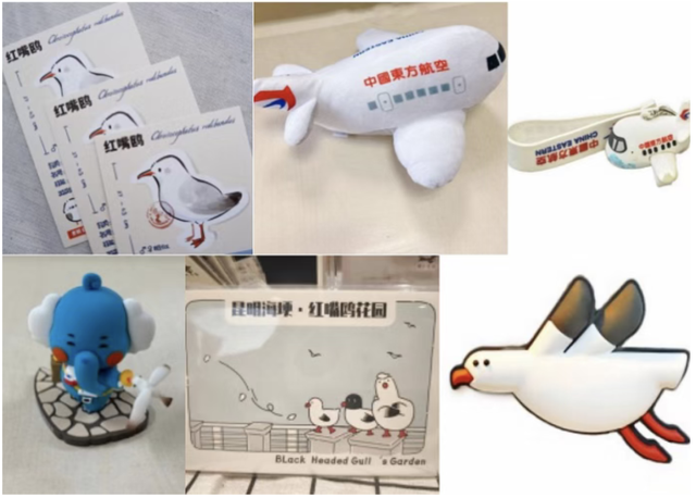 昆明冬日顶流回归！约起！