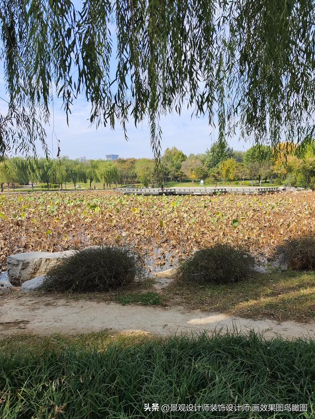 河北省邯郸市赵苑公园