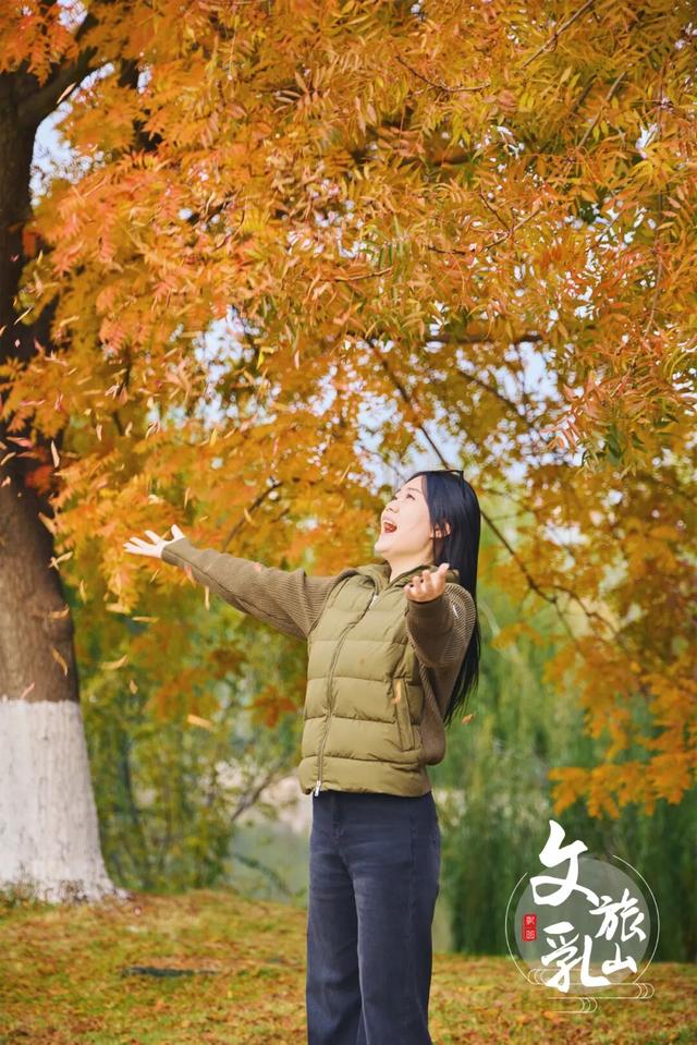 当秋风吻过乳山：一场关于色彩与治愈的漫步指南