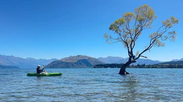 南风窗里，恰似你的温柔
