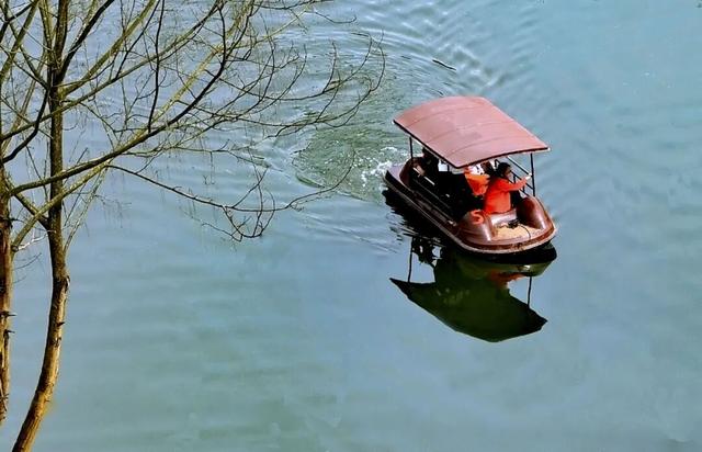“舌尖上的春天”，明日一起去三元镇坐飞机逛花海尝花田火锅宴！