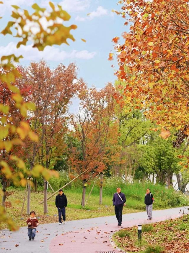 冬崃｜在泉水湖湿地公园，收藏整个冬天的浪漫与生机~