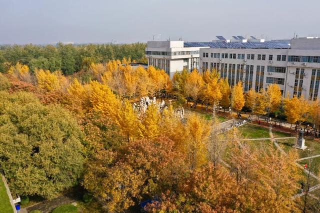 河北经贸大学2025金秋银杏节11月8日盛大开幕