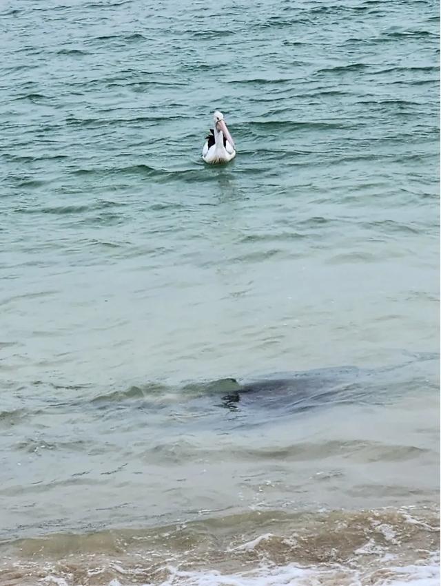 〔读城〕澳洲小镇游记