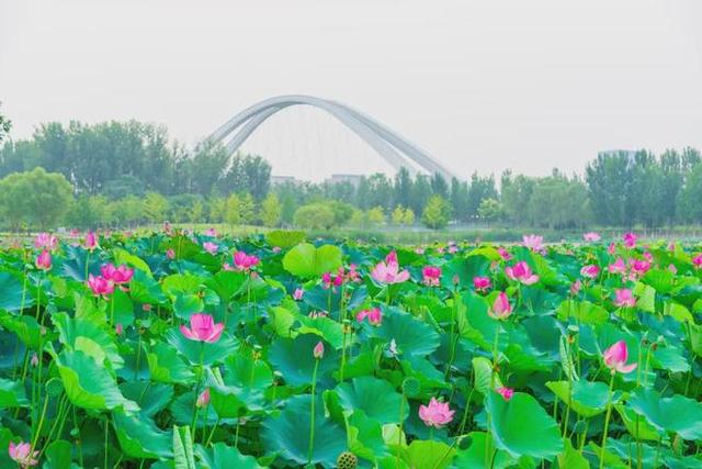 在昌平躺坪 | 20分钟，让公园治愈你