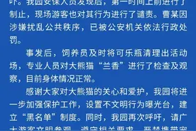 男子向大熊猫“兰香”投掷可乐瓶，重庆动物园通报图片