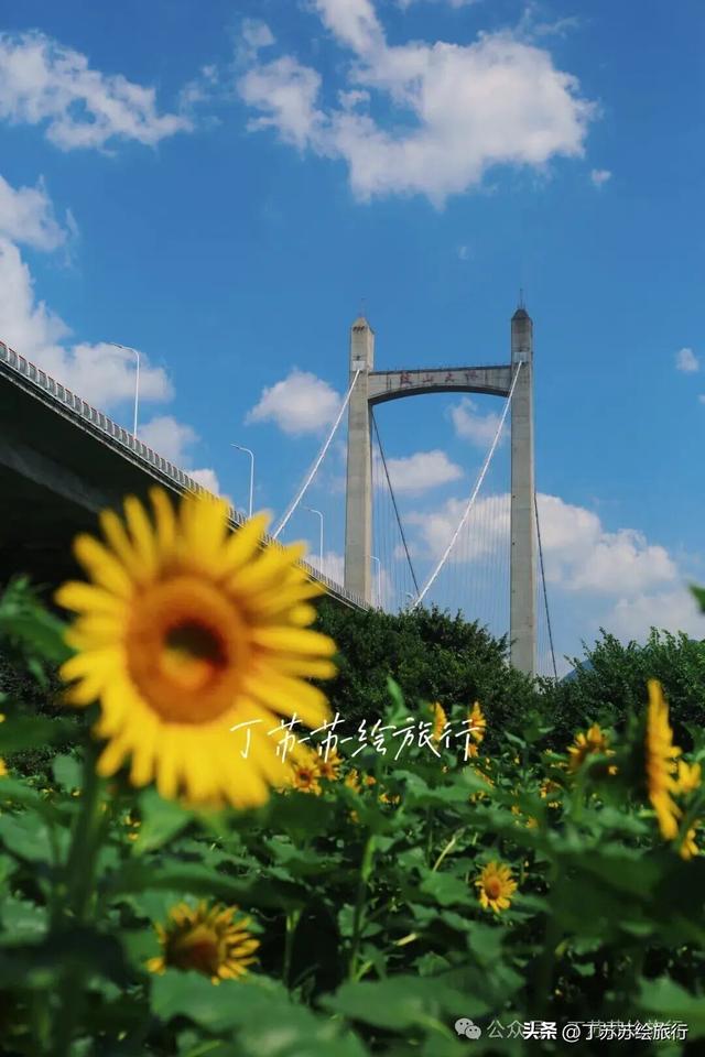 福州4号线换乘王，后段开通27个景点浪起来‼️地铁游玩手绘地图