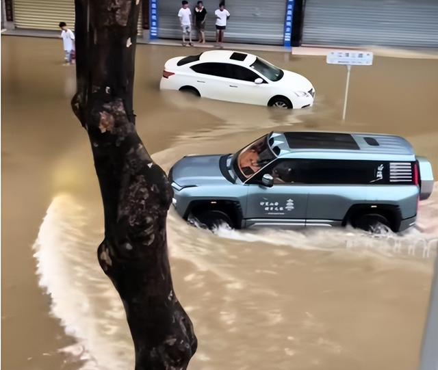 台风天开车“冲浪”后续：司机被行拘，身份遭扒，难怪做出这种事