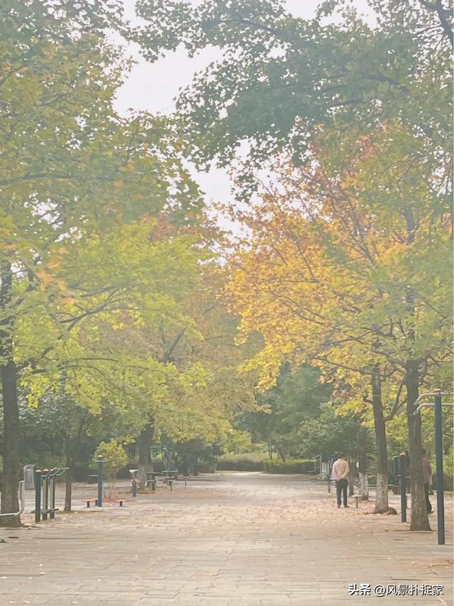 南昌的晚秋，风景美如画