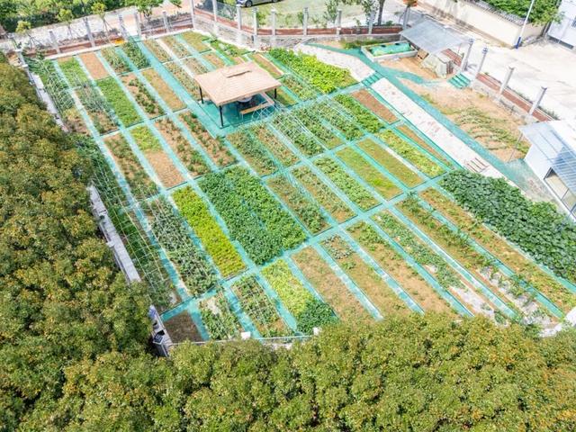璞闲客栈：工业风的硬朗里，藏满一片温柔