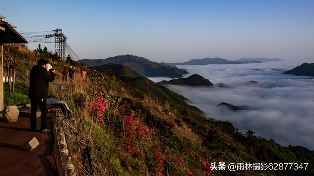 在黄陂，这样的美景你见过吗？