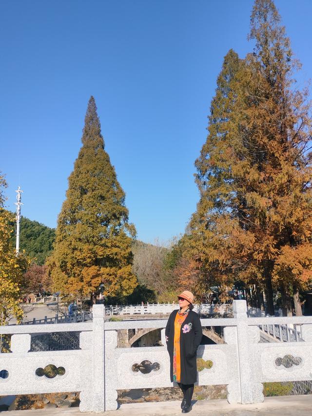 蜀山陶韵：古南街·陶二厂·石坝行记