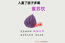 入夏必备！孩子多喝紫苏饮，纯阳之草驱湿寒图片