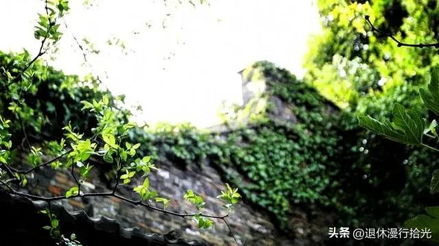 离开扬州多年,我仍走不出这抹烟火与诗意