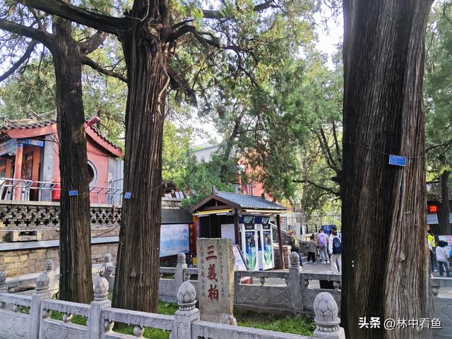 徒步登泰山之一——3小时从一天门到中天门